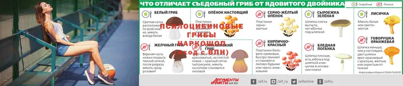 Галлюциногенные грибы мухоморы  купить наркотики цена  Алагир 